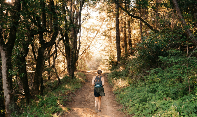 Woman walking in on a path in the forest toward light.