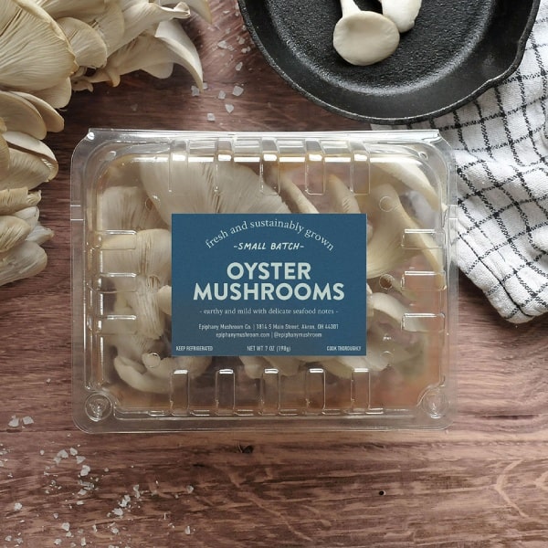 A pack of Fresh Pearl Oyster Mushroom